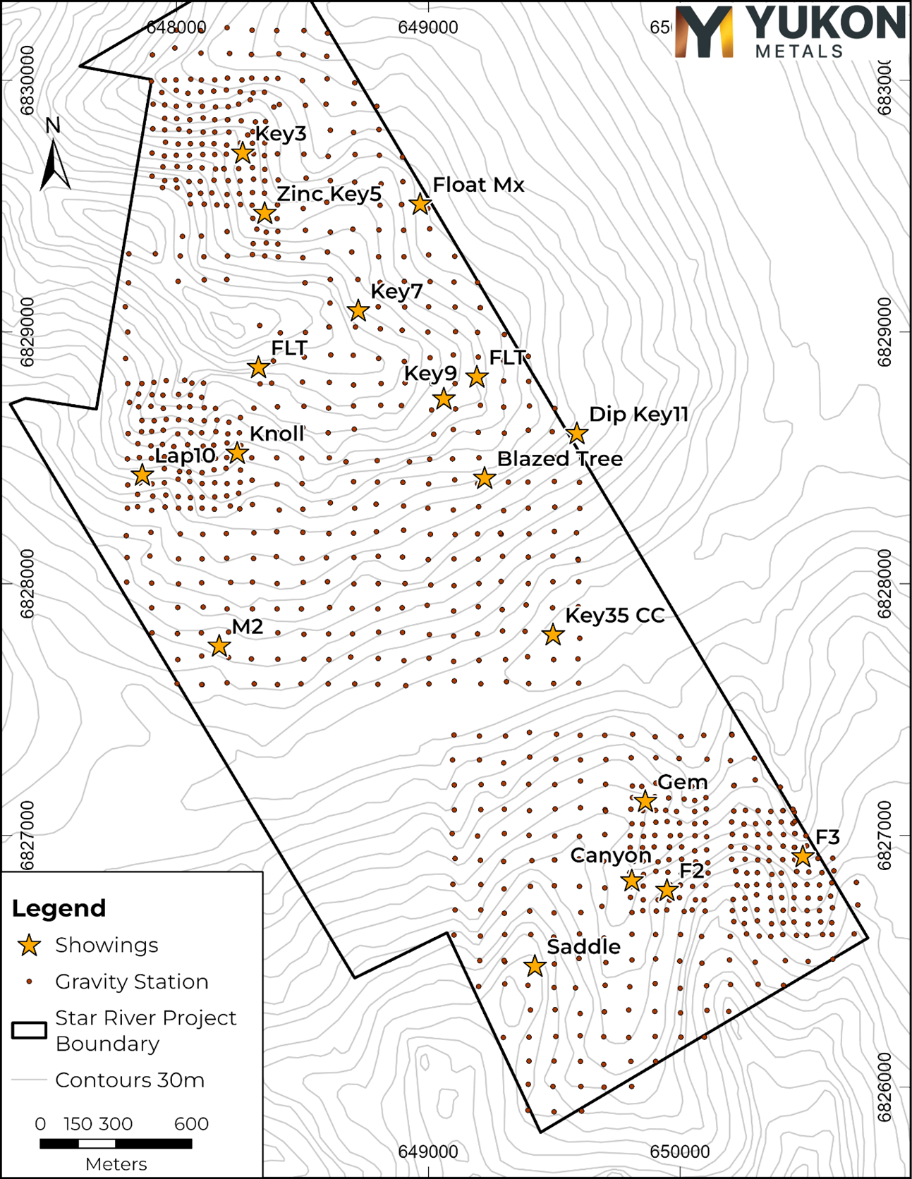 A plan-view map showing the ground gravity survey area and the measured station locations